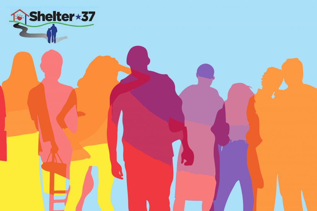 Shelter 37 - Non Profit