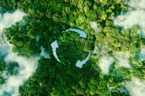 Plastics and Environmental Sustainability Are Compatible
