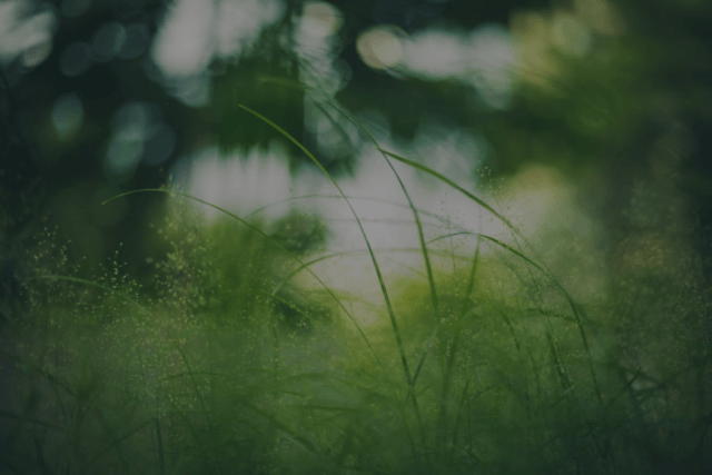 Mitsui Plastics